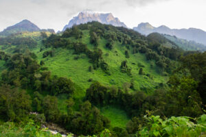 View in the Rwenzori Mountains, Uganda