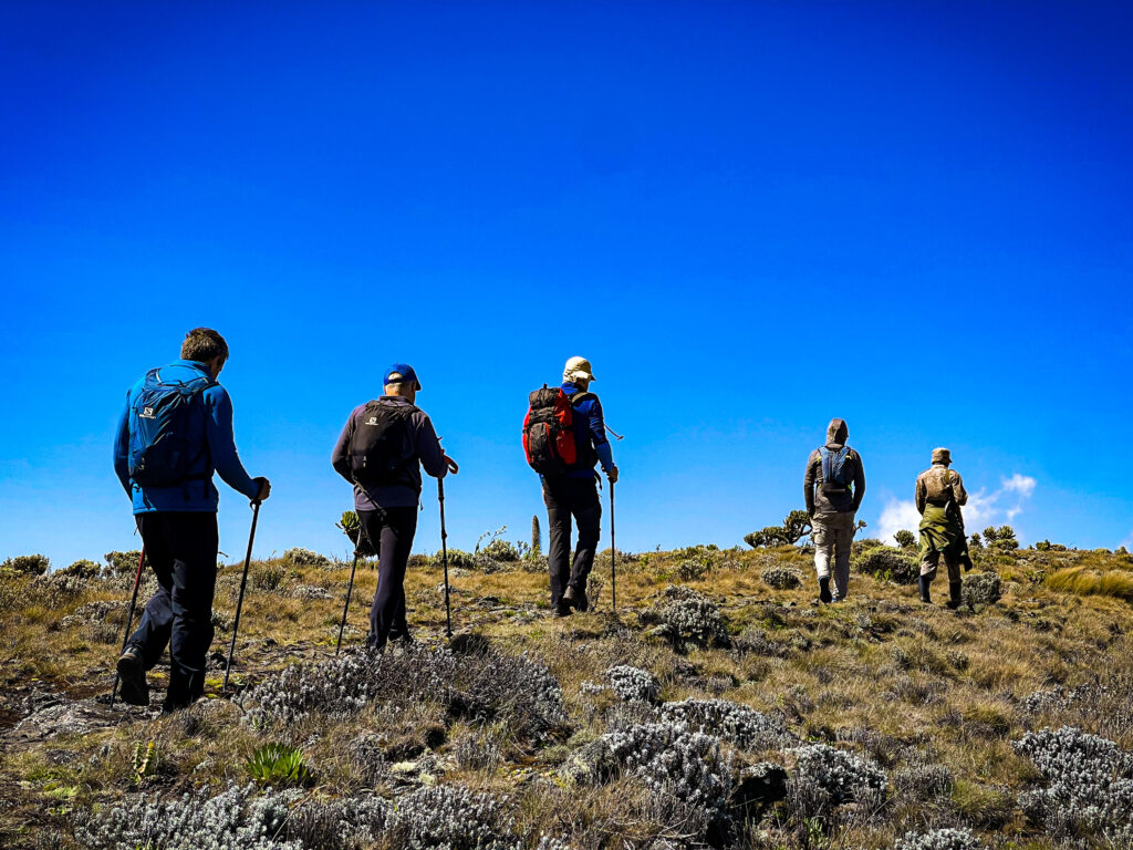 Hikers approaching Wagagai Peak (4321 masl) at Mount Elgon, Uganda. Photo credit: Juma Chebet