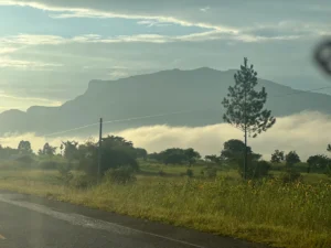 A sweeping panoramic shot of Pian Upe’s vast grasslands with the majestic Mount Kadam dominating the horizon.