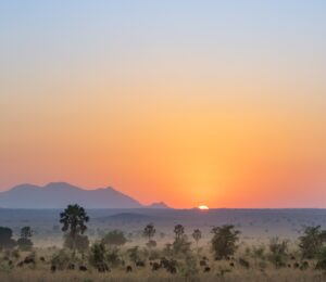 Sunset in Kidepo Valley National Park- safari, game drives and untouched wilderness
