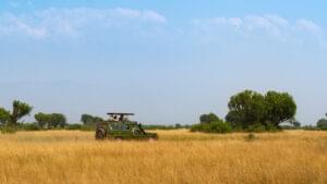 Game drive on the plains of Pian Upe, Uganda