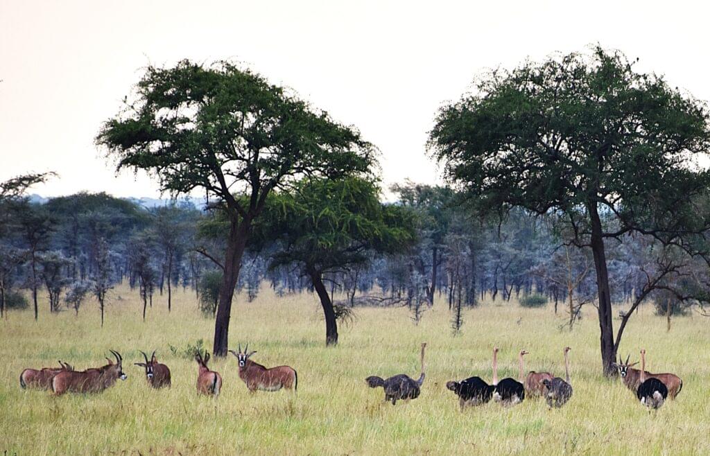 Instagram post from alakaratravels. This post is in position 0.