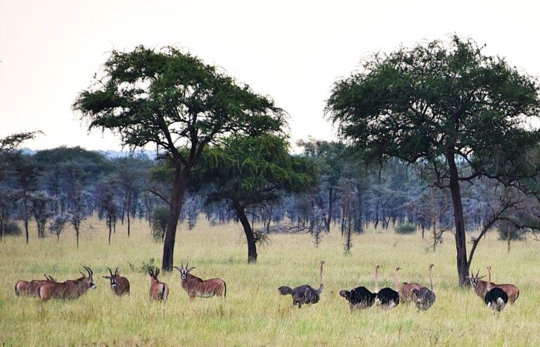 Instagram post from alakaratravels. This post is in position 4.