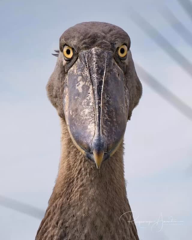 Instagram post from alakaratravels. This post is in position 1.