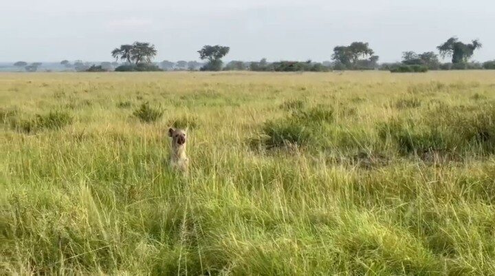 Instagram post from alakaratravels. This post is in position 1.
