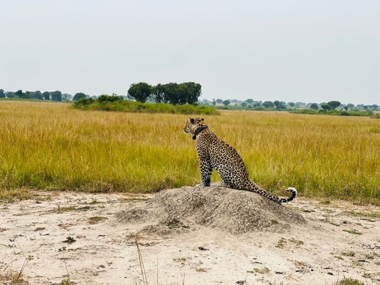 Instagram post from alakaratravels. This post is in position 2.