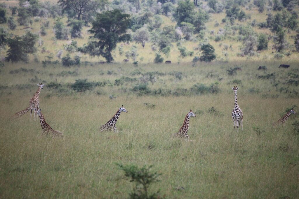 Instagram post from alakaratravels. This post is in position 3.