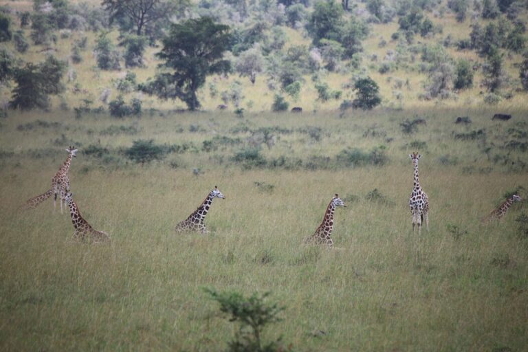 Instagram post from alakaratravels. This post is in position 4.